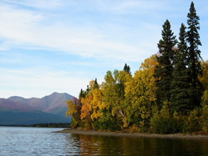 Peace of Selby Wilderness in the Brooks Range of Alaska